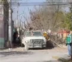 Árbol cae sobre trabajadores de la Presidencia Municipal de Ocampo; tres lesionados