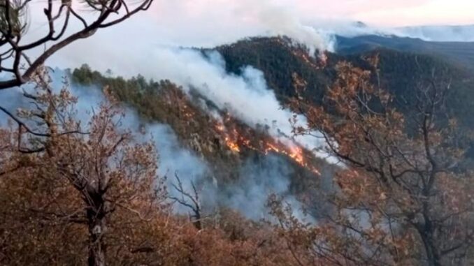 incendios-forestales-en-chihuahua-afectan-mas-de-5-mil-hectareas.jpg Incendios forestales en Chihuahua afectan más de 5 mil hectáreas