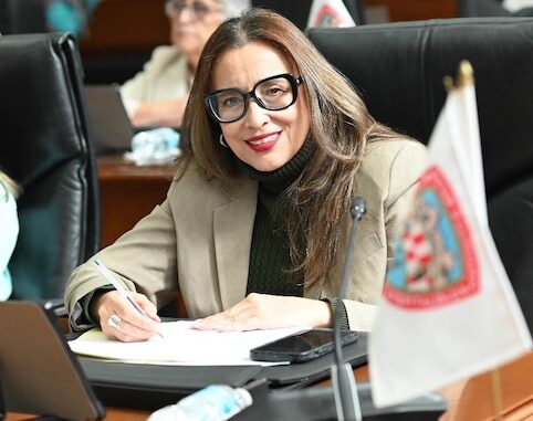 Diputada Ortega Máynez impulsa reforma para castigar con mayor severidad la reincidencia en violencia familiar y sexual – Al Instante Chihuahua.com