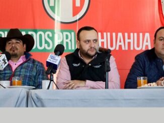 La columna hipótesis de acento noticias 