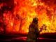 Incendios forestales impactan 11,800 ha del estado: Conafor