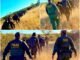 “Nuestra misión es hacer cumplir la ley migratoria”: Seguridad fronteriza en Big Bend