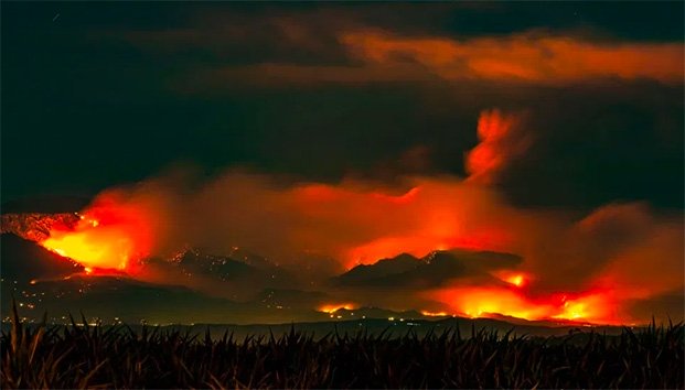 Avivan vientos incendios forestales; registran 15 en el estado