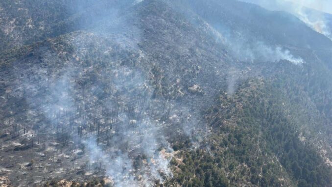trabajan-211-combatientes-para-abatir-los-11-incendios-activos-en-la-entidad-sdr.jpeg Trabajan 211 combatientes para abatir los 11 incendios activos en la entidad: SDR