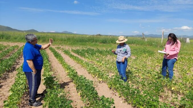 apoya-gobierno-del-estado-a-productores-con-gastos-de-seguros-agricolas.jpeg Apoya Gobierno del Estado a productores con gastos de seguros agrícolas