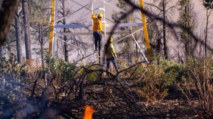 registran-9-incendios-forestales-activos-en-el-estado.jpeg Registran 9 incendios forestales activos en el estado
