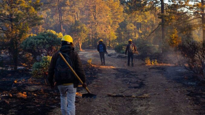 despliegan-brigadas-para-abatir-incendio-forestal-en-san-juanito.jpeg Despliegan brigadas para abatir incendio forestal en San Juanito