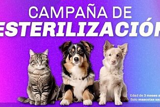 Inicia nuestra Campaña de Esterilización
