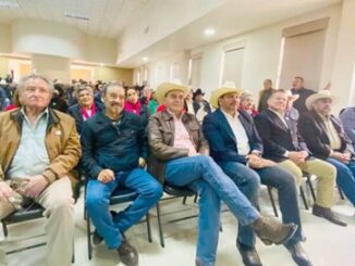 La columna hipótesis de acento noticias 
