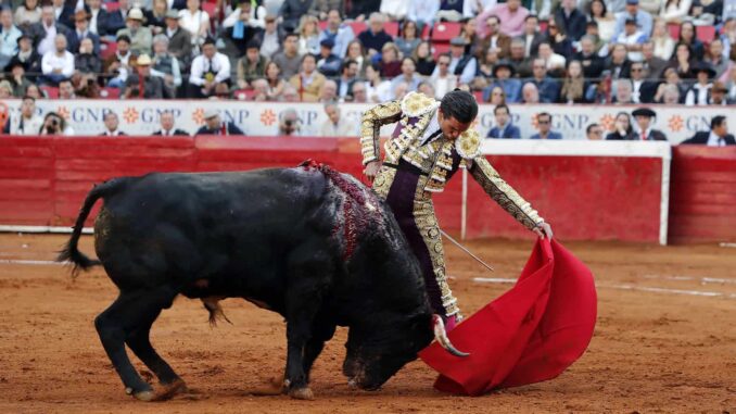 toreros-buscan-amparo-contra-la-prohibicion-de-corridas-con-sangre-en-cdmx.jpg Toreros buscan amparo contra la prohibición de corridas con sangre en CDMX