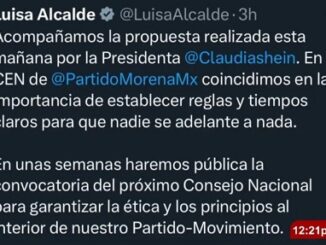La columna hipótesis de acento noticias 