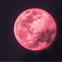Luna Rosa 2025; esta es la hora exacta del fenómeno astronómico en México