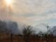 Cero combatientes en único incendio forestal del estado: Conafor