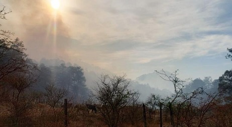 Cero combatientes en único incendio forestal del estado: Conafor