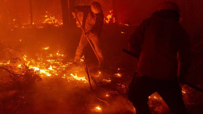 registra-sdr-siete-incendios-forestales-activos-en-el-estado.jpeg Registra SDR siete incendios forestales activos en el estado