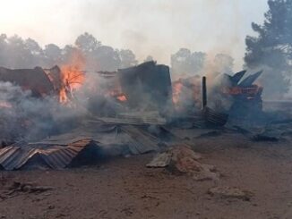 Amenazó incendio forestal poblado en Guerrero; activan Plan DN-III