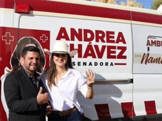 La columna hipótesis de acento noticias 