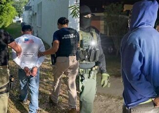 Arrestaron en Florida a 800 migrantes ¡en una semana!
