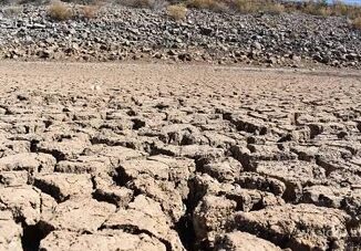 Prevén agricultores pérdidas de 8 mmdp por falta de agua