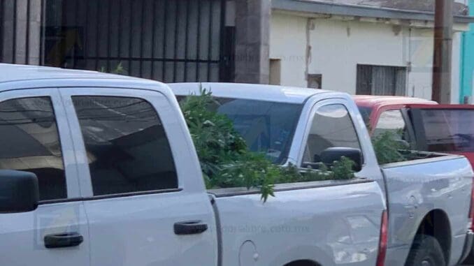 Difunden aseguramiento tras cateo en céntrico hotel