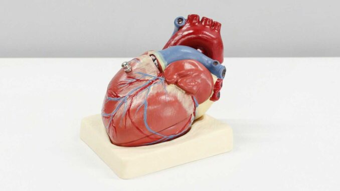 El 60 % de los mexicanos tiene riesgo de desarrollar enfermedades cardiovasculares