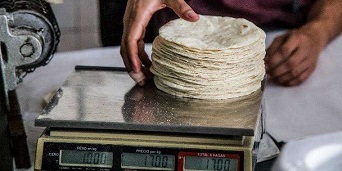 pegara-sequia-al-precio-de-la-tortilla.jpg Pegará sequía al precio de la tortilla