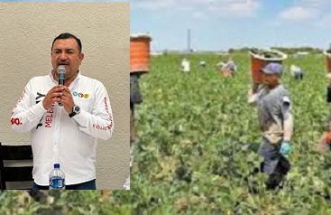 afirma-tony-melendez-el-gobierno-federal-debe-destinar-un-presupuesto-amplio-para-acciones-de-empleo-temporal.jpg Afirma Tony Meléndez: “El gobierno federal debe destinar un presupuesto amplio para acciones de empleo temporal”
