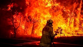 14 incendios forestales en el estado; disminuye área afectada