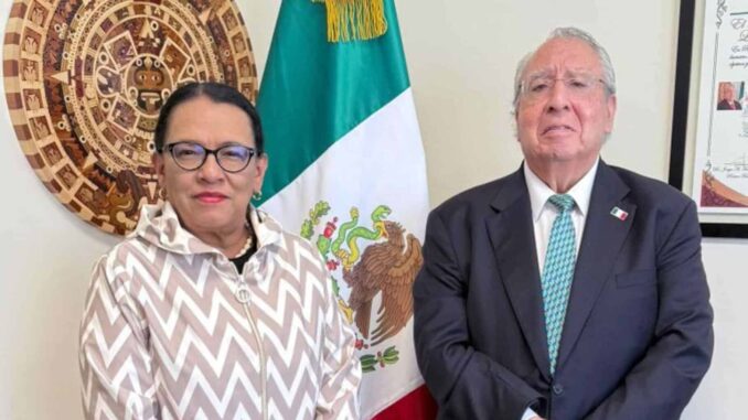 rosa-icela-rodriguez-acude-al-vaticano-para-la-misa-de-comienzo-del-pontificado-de-leon-xiv.jpg Rosa Icela Rodríguez acude al Vaticano para la misa de comienzo del pontificado de León XIV
