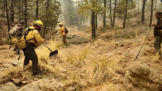 se-integran-30-brigadistas-de-otros-estados-al-combate-de-incendios-forestales-en-chihuahua.jpeg Se integran 30 brigadistas de otros estados al combate de incendios forestales en Chihuahua