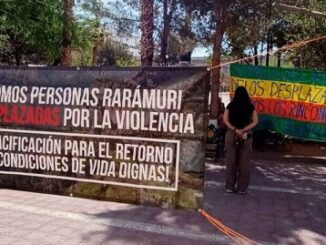 La columna hipótesis de acento noticias 
