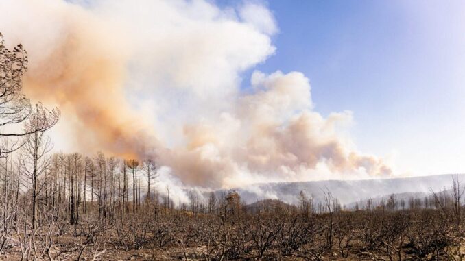 combaten-435-brigadistas-24-incendios-forestales-activos-en-la-entidad.jpeg Combaten 435 brigadistas 24 incendios forestales activos en la entidad