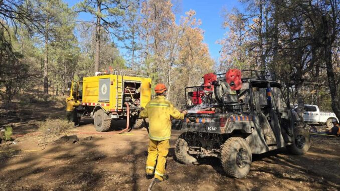 llevan-insumos-para-brigadistas-que-combaten-incendios-forestales-en-madera.jpeg Llevan insumos para brigadistas que combaten incendios forestales en Madera