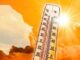 Ola de calor azota Chihuahua: Ojinaga alcanza 41.5 grados; capital 38°