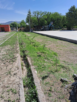 inicia-campana-de-reforestacion-en-manuel-benavides.png Inicia campaña de reforestación en Manuel Benavides