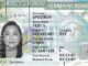Los requisitos que sí o sí debe cumplir un inmigrante para tener la green card y no ser deportado