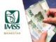 Pensión IMSS e ISSSTE: así será el pago de julio 2025 para los pensionados