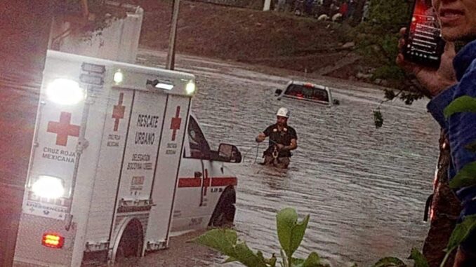 WhatsApp-Image-2025-06-25-at-7.23.34-PM-1.jpeg