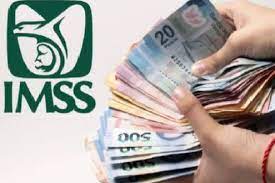 Dinero-IMSS.jpg