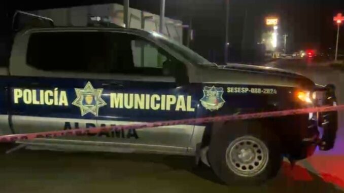 polialdama-.jpg