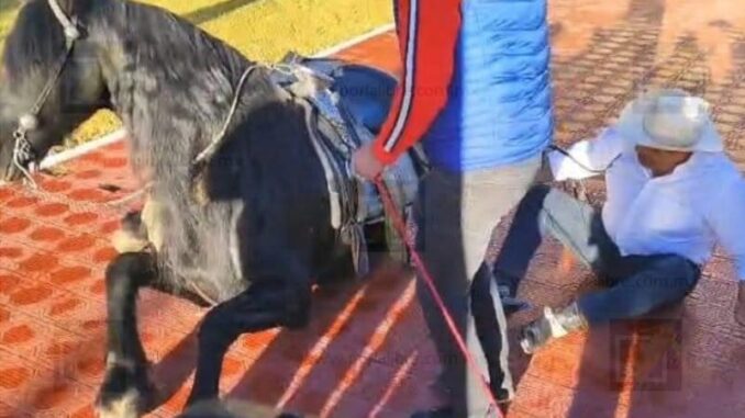 caballo2.jpg