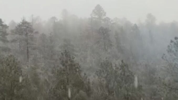 nevada-t.jpg
