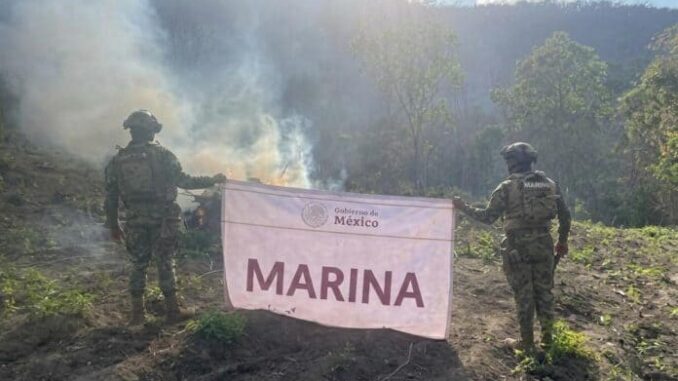 michoacan-2-696x475.jpeg